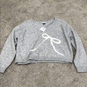 AEO Ribbon Cropped Sweater